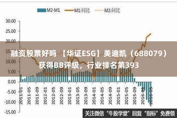 融资股票好吗 【华证ESG】美迪凯（688079）获得BB评级，行业排名第393