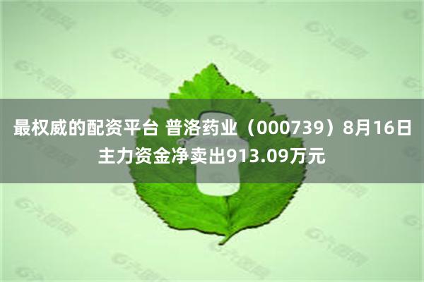 最权威的配资平台 普洛药业（000739）8月16日主力资金净卖出913.09万元