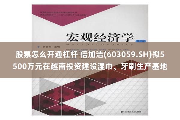 股票怎么开通杠杆 倍加洁(603059.SH)拟5500万元在越南投资建设湿巾、牙刷生产基地