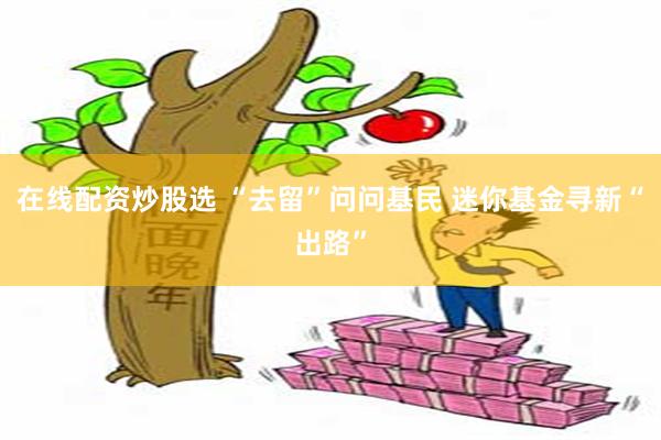 在线配资炒股选 “去留”问问基民 迷你基金寻新“出路”