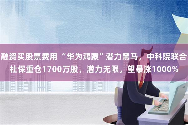 融资买股票费用 “华为鸿蒙”潜力黑马，中科院联合社保重仓1700万股，潜力无限，望暴涨1000%