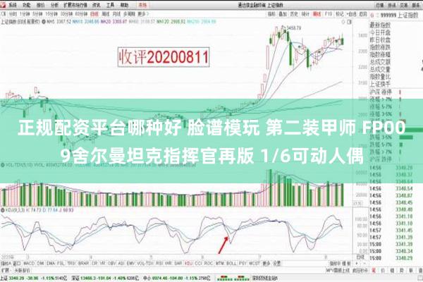 正规配资平台哪种好 脸谱模玩 第二装甲师 FP009舍尔曼坦克指挥官再版 1/6可动人偶