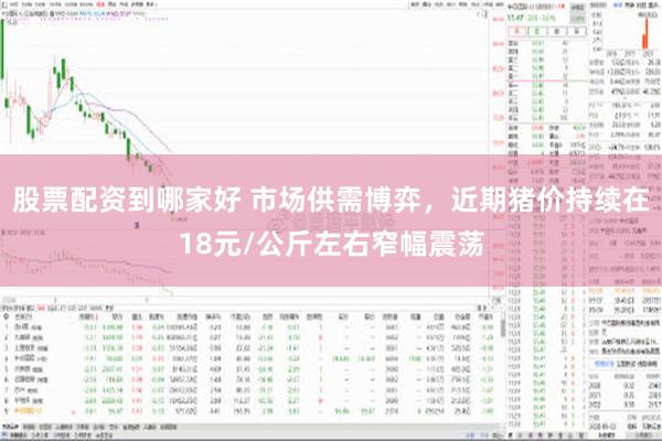 股票配资到哪家好 市场供需博弈，近期猪价持续在18元/公斤左右窄幅震荡