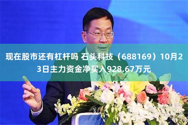 现在股市还有杠杆吗 石头科技（688169）10月23日主力资金净买入928.67万元